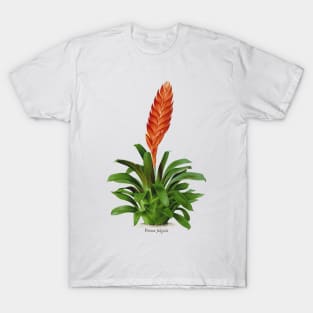 Vriesea fulgida old plate T-Shirt